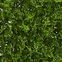 20" Lush Mediterranean Fern Wall Panel