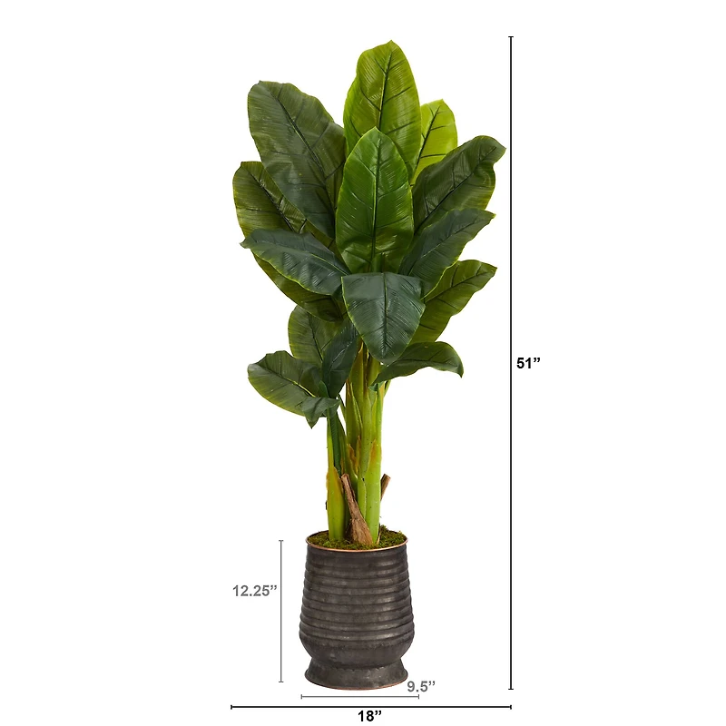 4ft. Triple Stalk Banana Tree in Ribbed Metal Planter