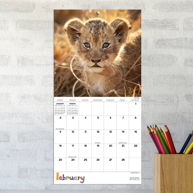 TF Publishing 2025 Baby Animals Mini Calendar