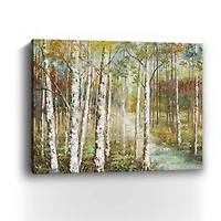 Warm Spice Birch Path Canvas Giclee