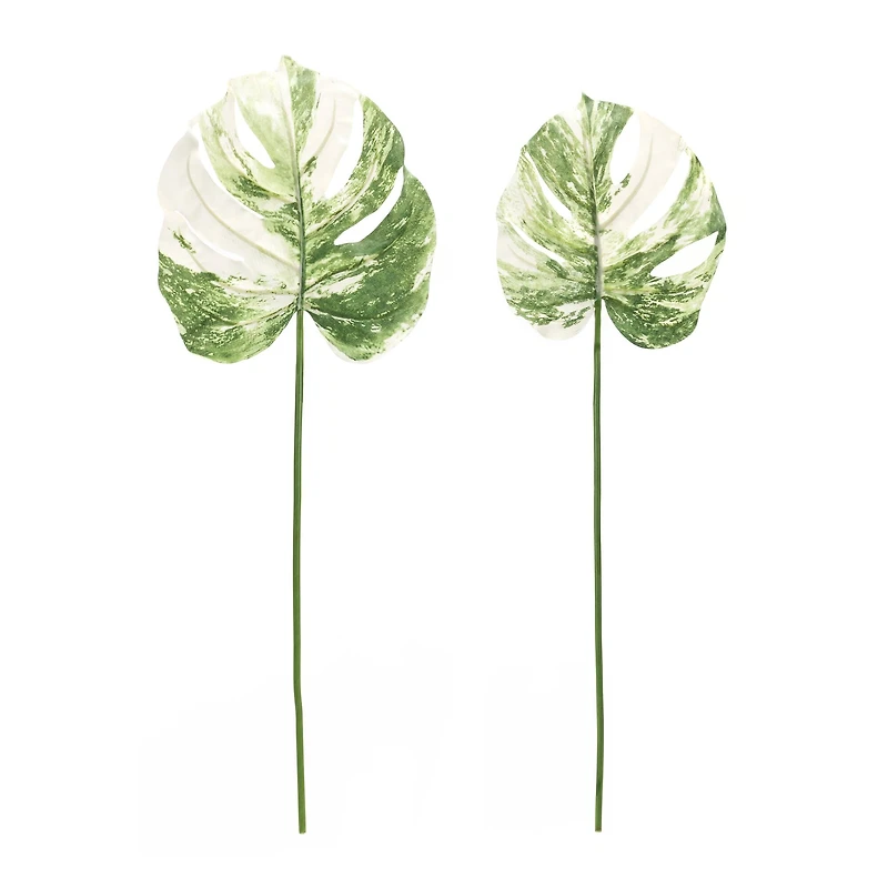 Light Variegated Philo Leaf Stems Set