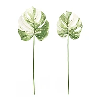 Light Variegated Philo Leaf Stems Set