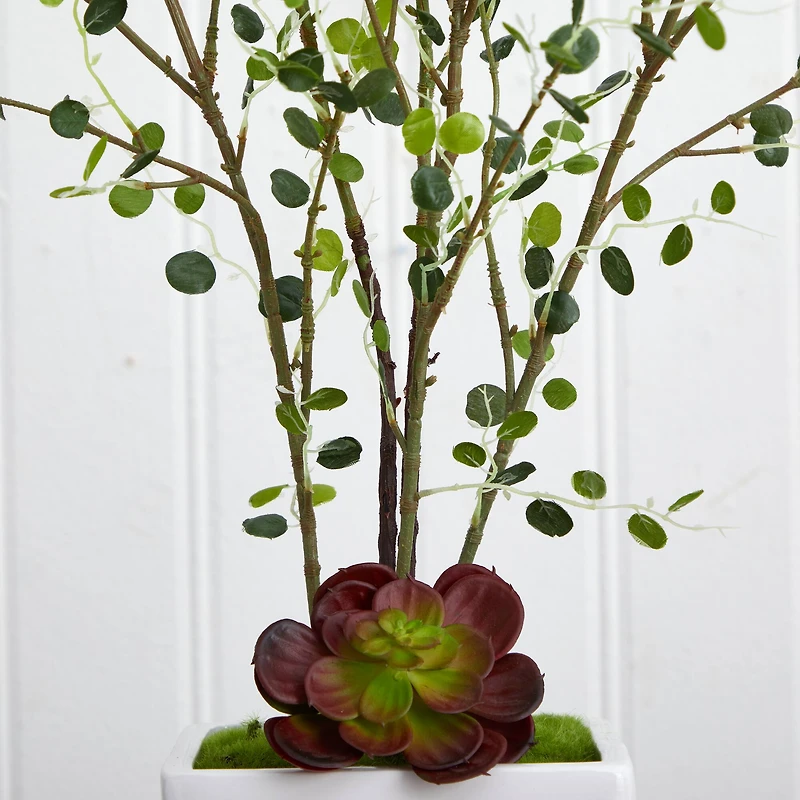 4ft. Night Willow in White Planter