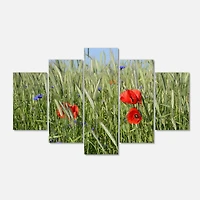Designart - Rural Landscape with Red Poppies