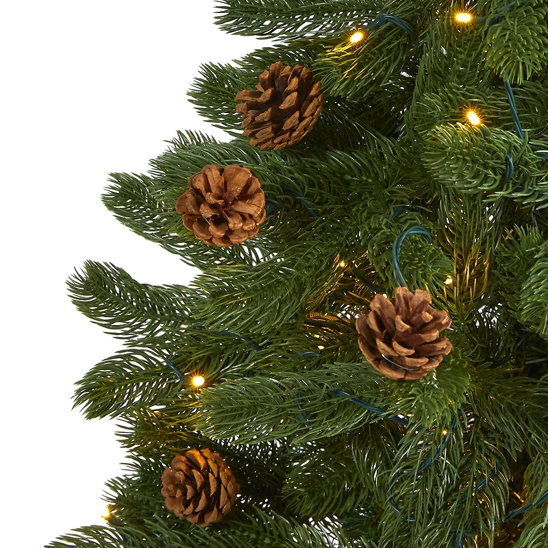 5ft. Pre-Lit Rocky Mountain Spruce Artificial Christmas Tree, Clear LED Lights