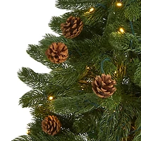 5ft. Pre-Lit Rocky Mountain Spruce Artificial Christmas Tree, Clear LED Lights