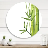 Designart - Bamboo Branches In The Forest V