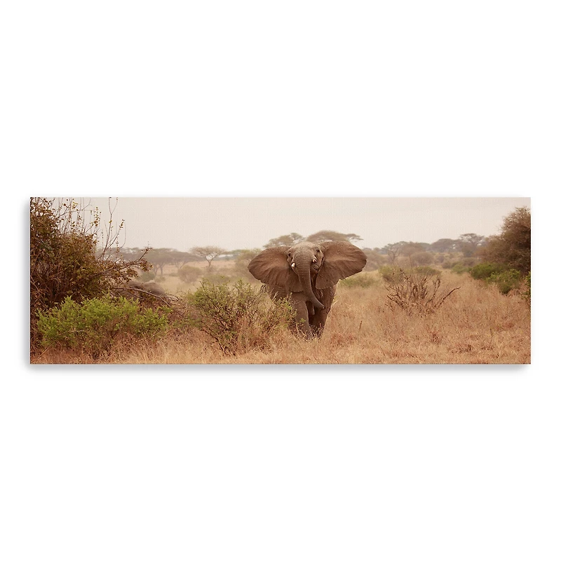 Elephant In The Savannah Canvas Giclee