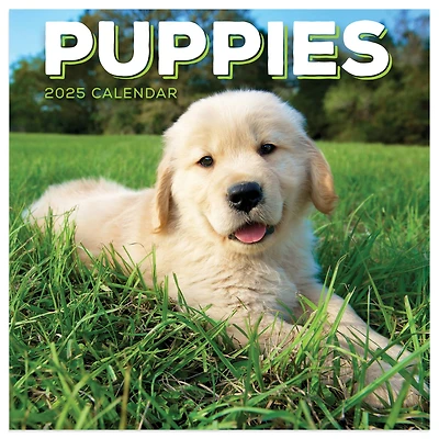 TF Publishing 2025 Puppies Mini Calendar