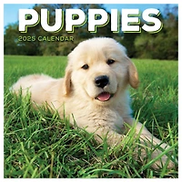 TF Publishing 2025 Puppies Mini Calendar