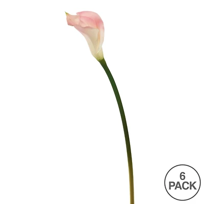 Pink Calla Lily Stem, 6ct.