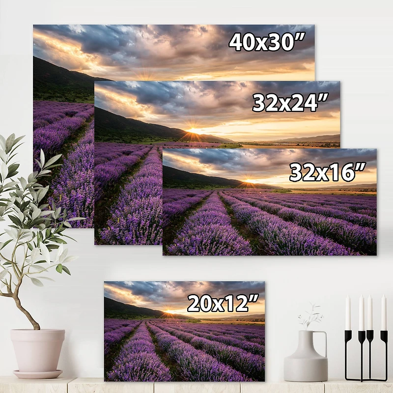Designart - Sunrise & Dramatic Clouds Over Lavender Field VI