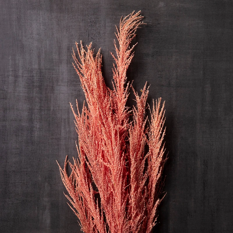 6 Pack: Peach Pampas Grass Stem by Ashland®