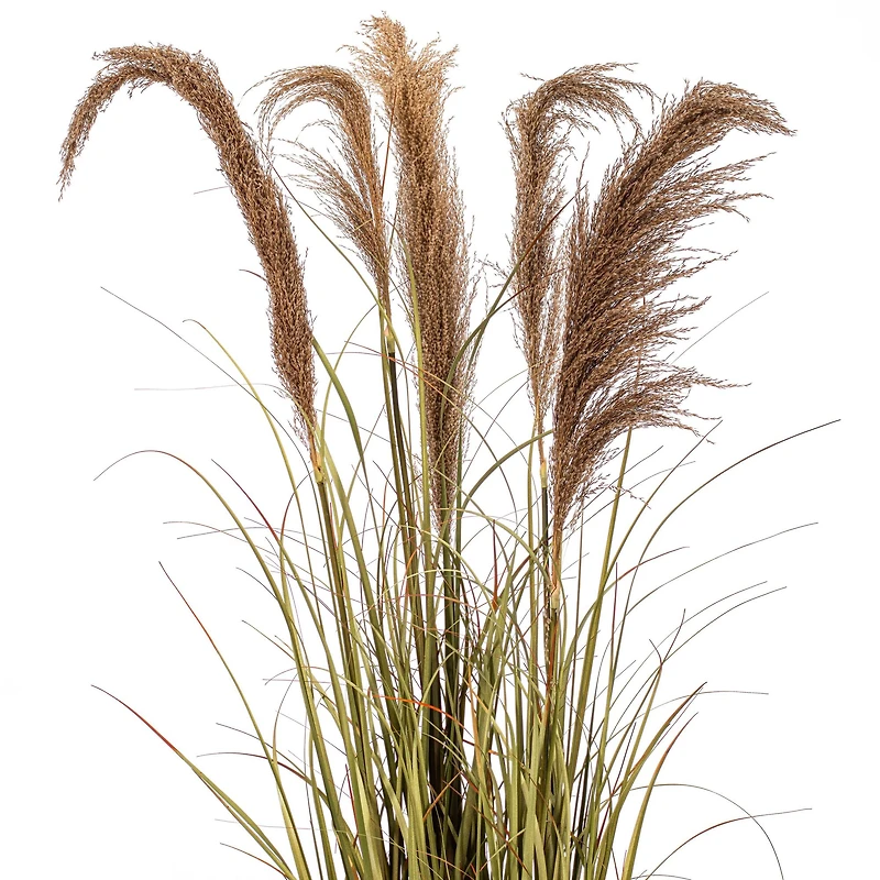 55" Artificial Green Grass & Natural Reeds in Iron Pot