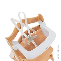 Hauck 3-in-1 Table Alpha Tray & 5-Point Harness Set