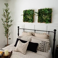 20" Framed Queensland Rainforest Artificial Living Wall Art Panel