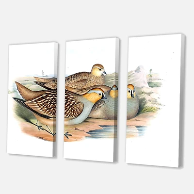 Designart - Vintage Birds In The Wild III