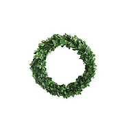 Hello Honey® Preserved Genuine Boxwood Wreath