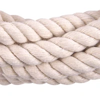 15ft. Ivory Rope by Ashland®