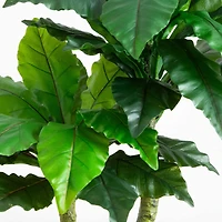 4ft. UV Resistant Artificial Bird Nest Fern Tree (Indoor/Outdoor)