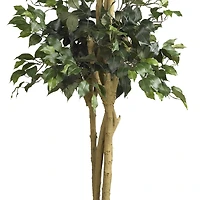 6ft. Potted Double Ball Ficus Silk Tree