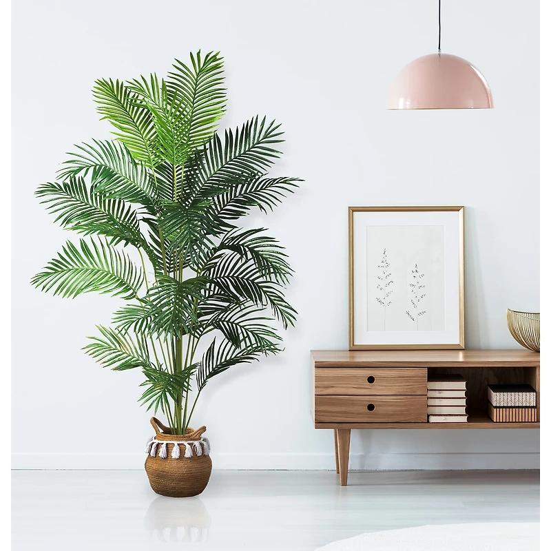 7ft. Potted Paradise Palm