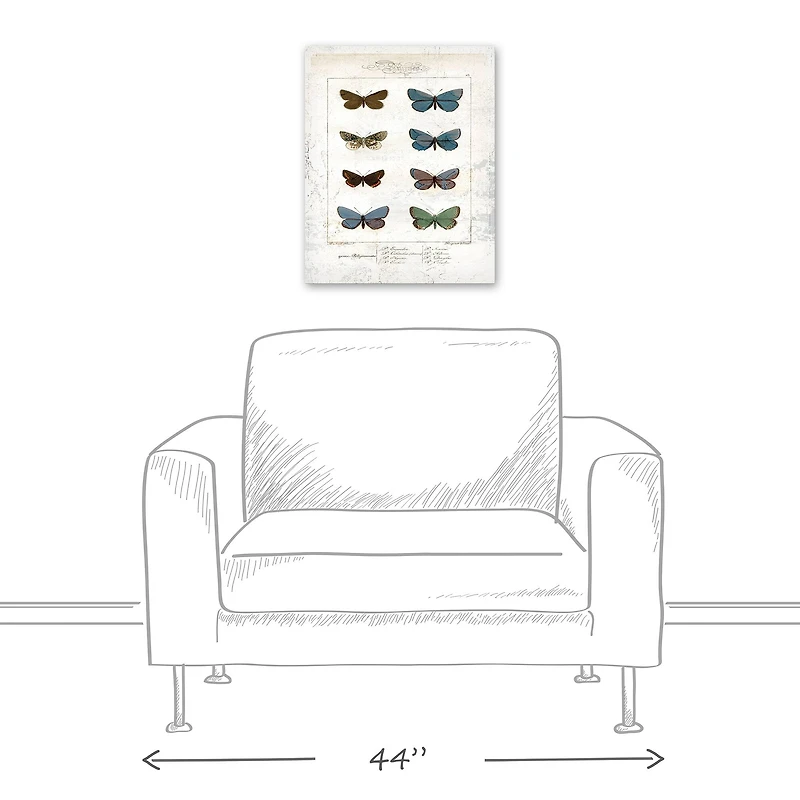 Butterfly Study 16" x 20" Canvas Wall Art
