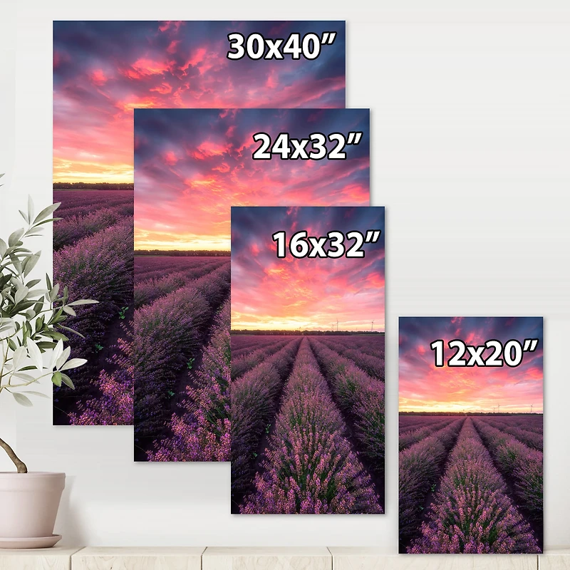 Designart - Sunrise & Dramatic Clouds Over Lavender Field XIV