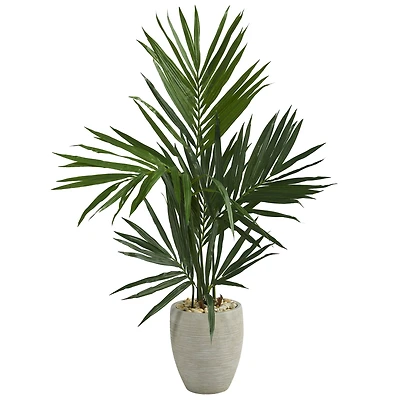 4ft. Kentia Palm Tree in Sand Colored Planter