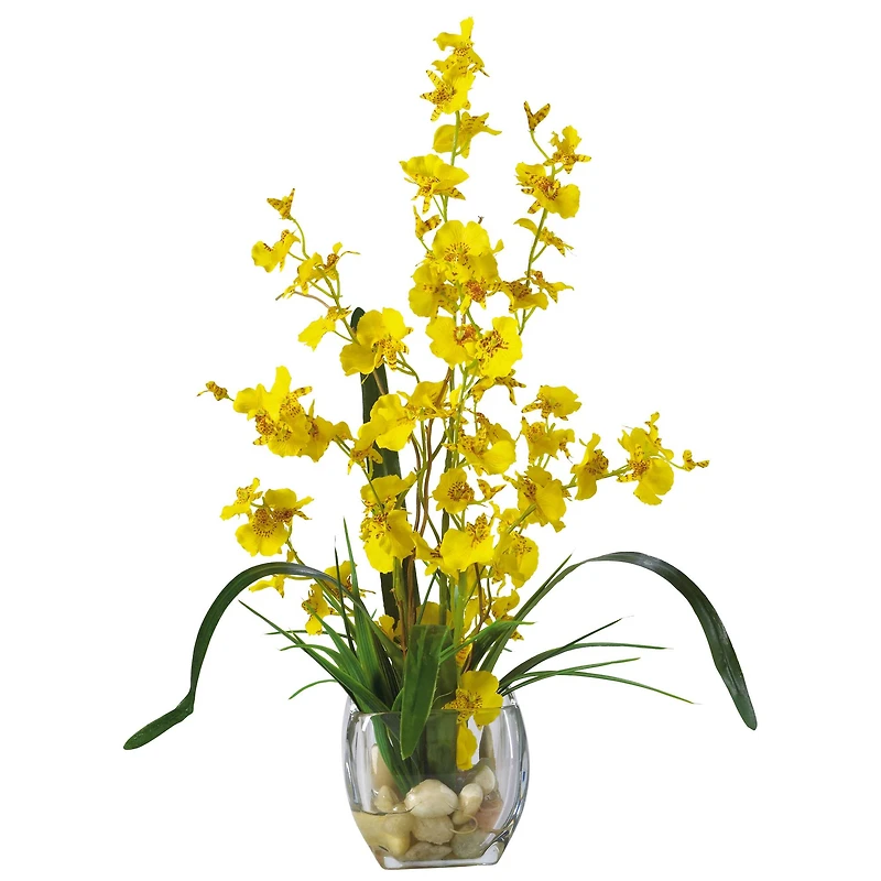 19" Yellow Dancing Lady Orchid Arrangement in Glass Vase