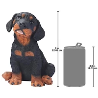 Design Toscano 9" Rotweiler Puppy Dog Statue