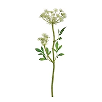 Queen Anne's Lace Spray with Water-Resistant Stem