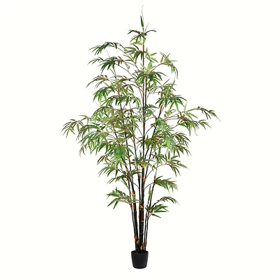 6ft. Potted Black Japanese Bamboo Tree