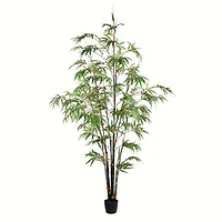 6ft. Potted Black Japanese Bamboo Tree
