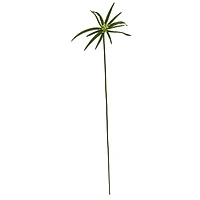 45" Green Cyperus Spray, 12ct.