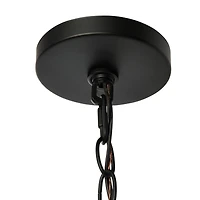 Hello Honey® Robert Stevenson Lighting Magnolia 18.5" Matte Black 3-Light White Washed Wood and Metal Chandelier