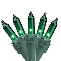 50ct. Mini Christmas String Lights with Green Wire