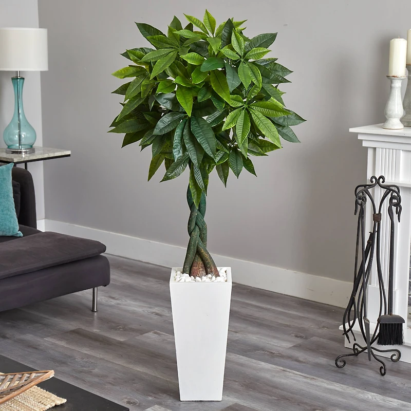 5.5ft. Money Tree in White Tower Planter