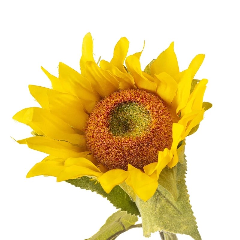 Sunflower Stem by Ashland®