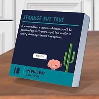 TF Publishing 2024 Smarty Pants Daily Desktop Calendar