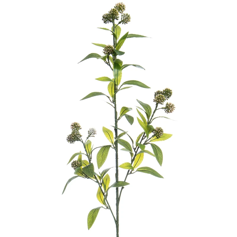 35" Green Viburnum Stem by Ashland®