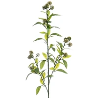 35" Green Viburnum Stem by Ashland®