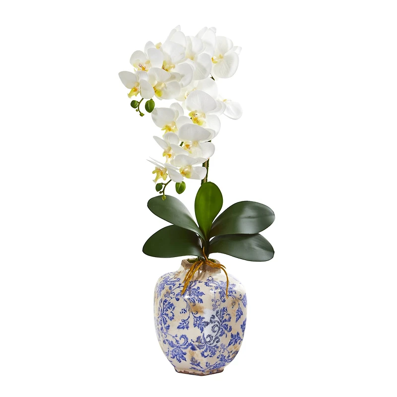 25" Moth Orchid Artificial Arrangement in Floral Vase