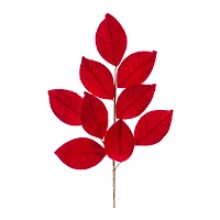 Magnolia Leaf Sprays