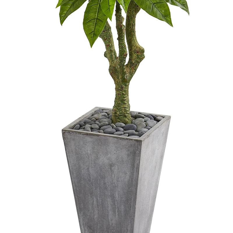 5.5ft. Plumeria Tree in Gray Planter