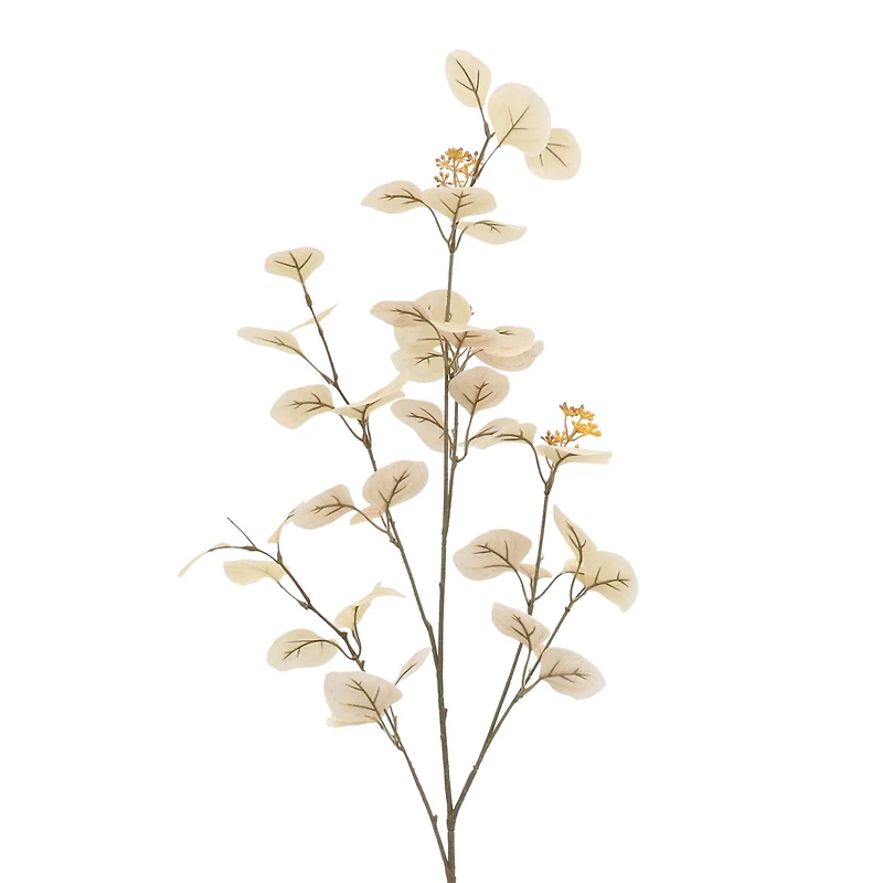 Cream Seed Eucalyptus Stem by Ashland®