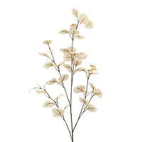 Cream Seed Eucalyptus Stem by Ashland®