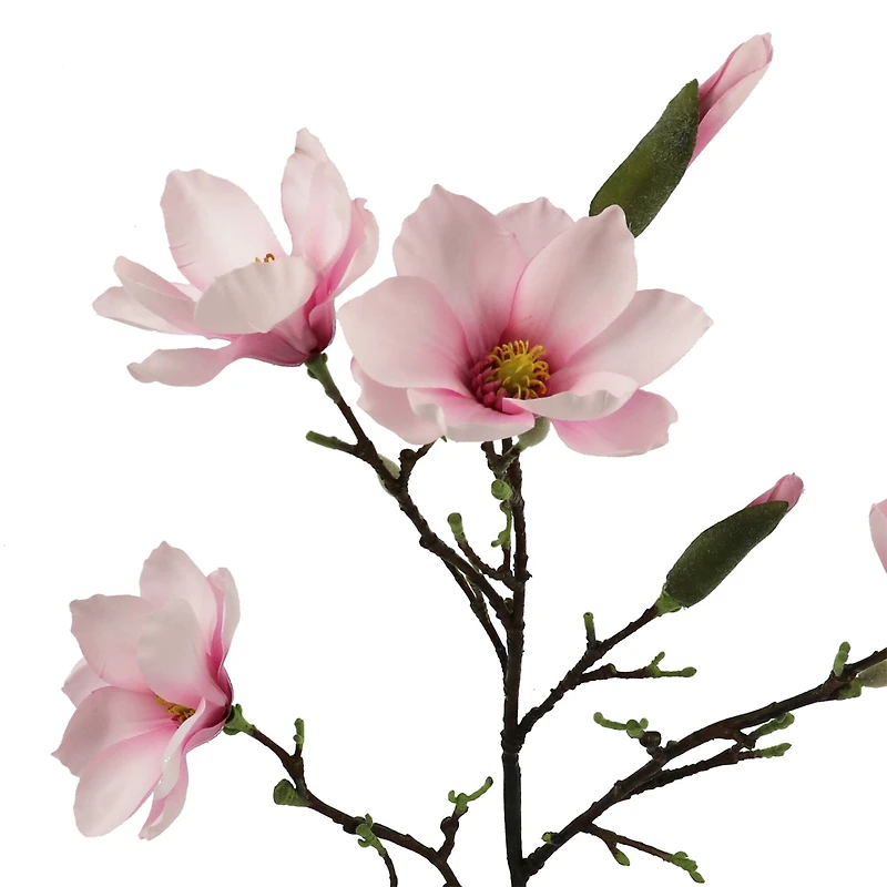 40" Magnolia Oversized Stem by Ashland