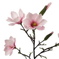 40" Magnolia Oversized Stem by Ashland