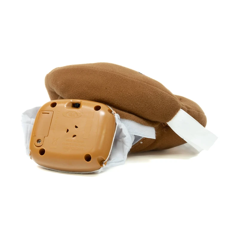 Electronic Hot Potato Game